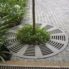 Metal Steel Trees Grilles